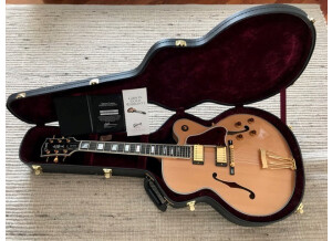 Gibson Byrdland (61245)