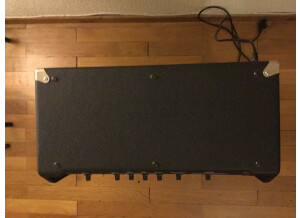Fender Bassman 100 (2661)
