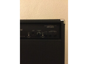 Fender Bassman 100 (24766)