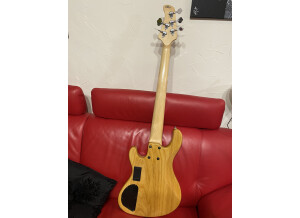 Cort GB5-Custom (38407)