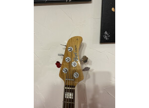 Cort GB5-Custom (55101)