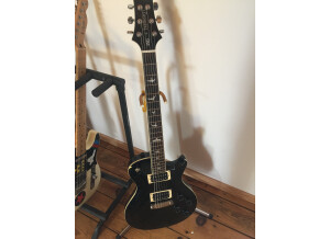 PRS SE Mark Tremonti (68660)