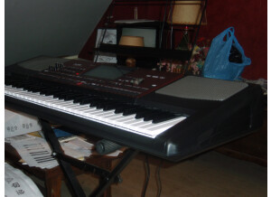 Korg Pa700 (94905)