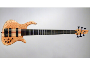 spalted_total-1310x740