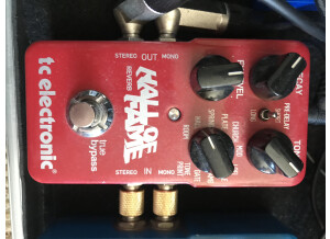 TC Electronic Hall of Fame Reverb (18740)