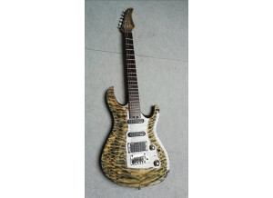 cort g290(1)