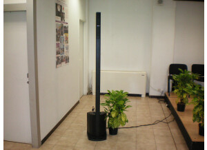 Bose Line Array L1® compact