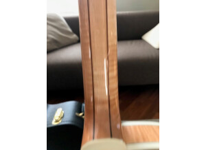 Gibson Byrdland (10861)