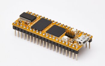 ES_Daisy_Seed_3-4 ES_Daisy_Seed_3-4