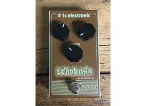 TC Electronic EchoBrain Analog Delay (61458)