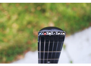 Steinberger GR-4R (30704)