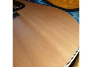Epiphone FT-150 Bard (85103)