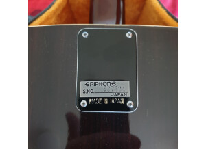 Epiphone FT-150 Bard (68198)