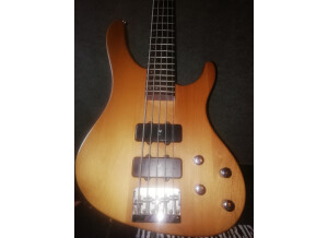 Washburn XB500 (19191)
