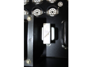 Mesa Boogie Stereo Simul-Class 295 (14537)