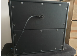 Orange Tiny Terror (62641)