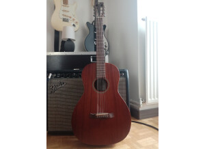 Tanglewood TW133 (76129)