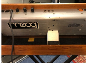 Moog Music MiniMoog (98975)