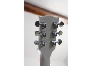 Gibson Les Paul Signature T (4583)