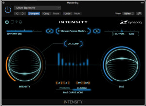 Zynaptiq Intensity