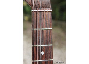 Fender George Harrison Rosewood Telecaster (13276)