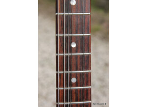 Fender George Harrison Rosewood Telecaster (31677)