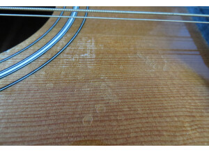 Taylor 355-12 (7041)