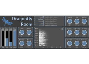 dragonfly-room-screenshot