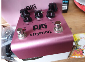 Strymon DIG (90229)