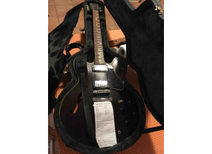 Gibson ES 335 & case