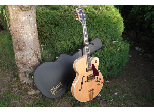 Gibson Byrdland (33904)