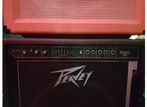 Peavey TKO 75