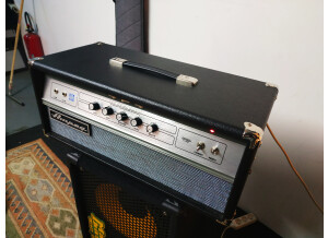 Ampeg V-4B (37750)
