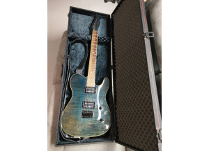 Fender (1)