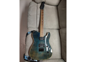 Fender (2)
