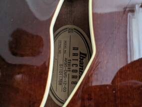 Ibanez AK95
