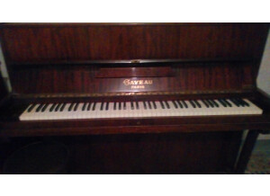 Gaveau Piano Droit (43300)