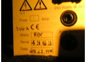 Eden Electronics WT-500