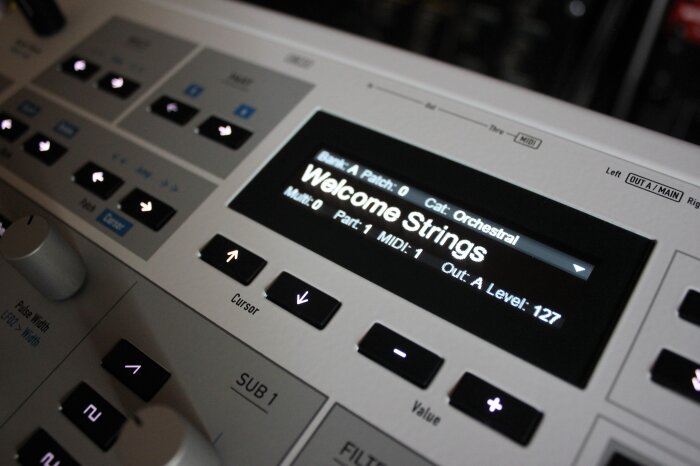 Kyra_2tof 12.JPG Kyra_2tof 12.JPG