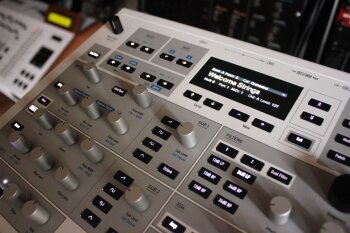 Kyra_2tof 10.JPG Kyra_2tof 10.JPG