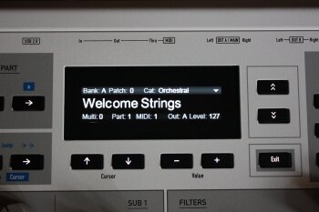 Kyra_2tof 08.JPG Kyra_2tof 08.JPG