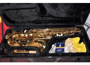 Tim Hendson Sax Alto (46185)