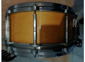 Pearl free floating 14x6.5 érable (20938)