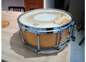 Pearl free floating 14x6.5 érable (21610)