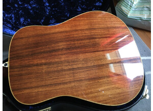 Larrivée D-09 (29919)