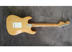 Fender Classic '70s Stratocaster (40295)
