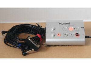 Roland HD-1 Module (5194)