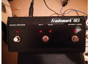 Tech 21 Trademark 60 1x12 (4182)