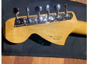 Fender Vintera '70s Stratocaster (59376)