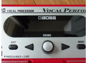 Boss VE-20 Vocal Performer (95206)